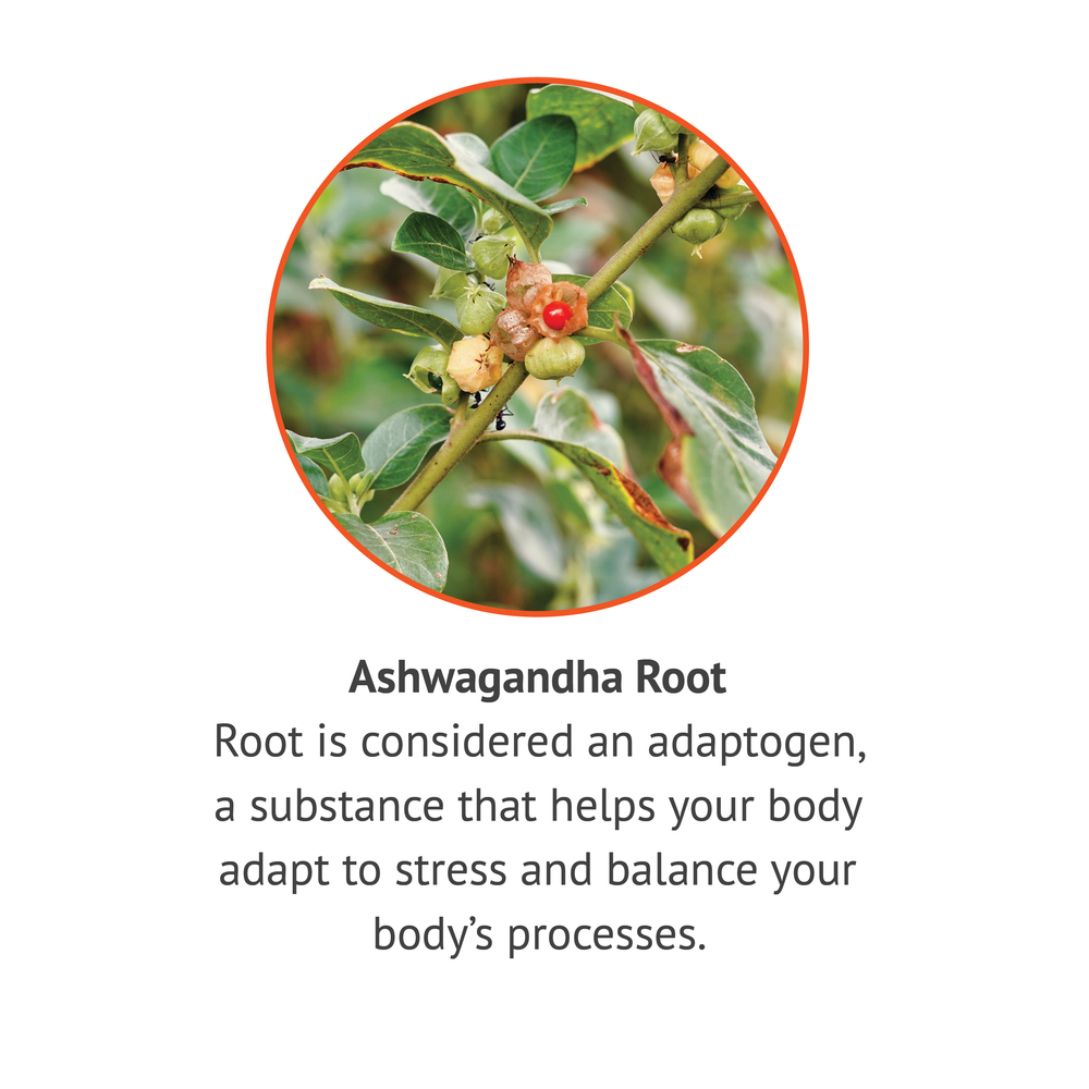 
                  
                    Ashwagandha Extract 450mg 90ct
                  
                