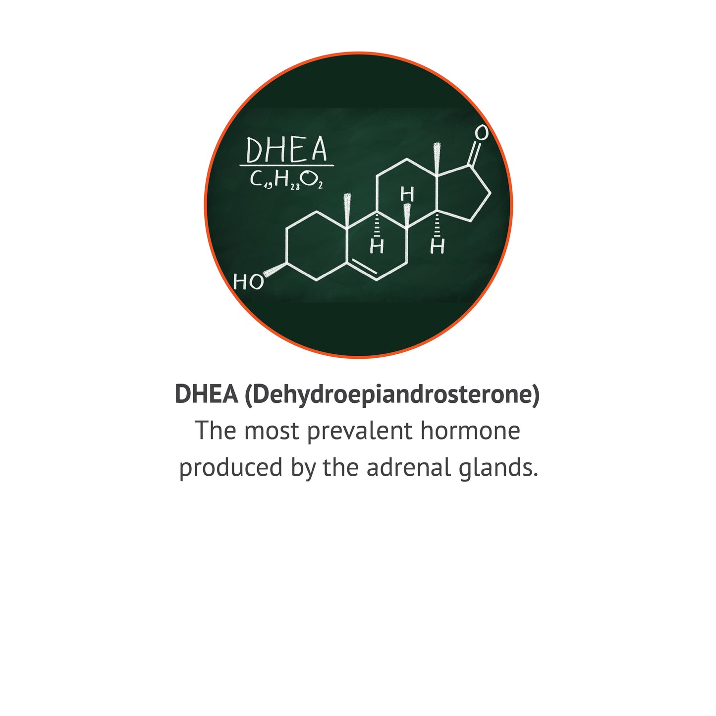 
                  
                    BC DHEA 25mg 60ct
                  
                