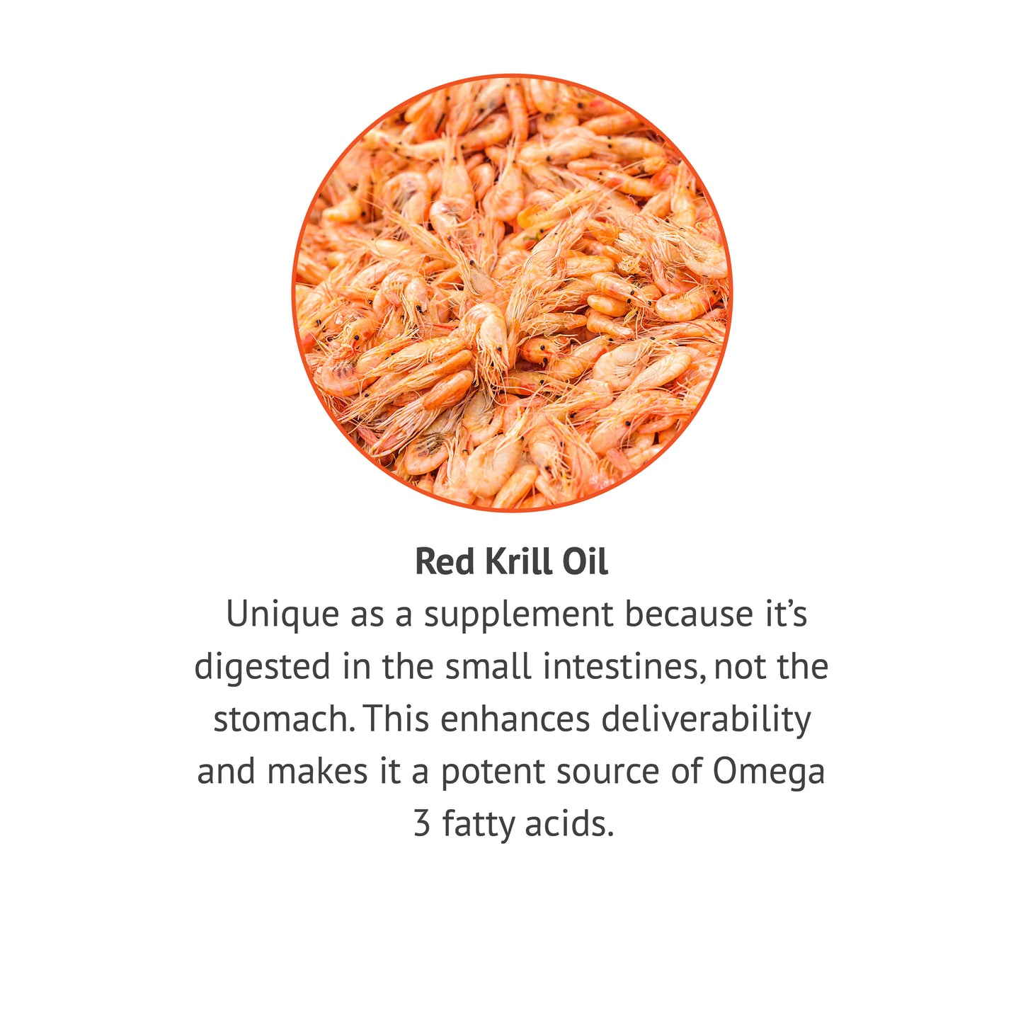 
                  
                    Red Krill Oil 500mg 60ct
                  
                