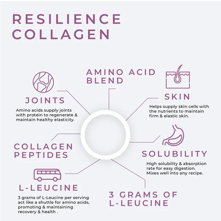 
                  
                    RESILIENCE - Collagen Protein 939g (Brownie Batter)
                  
                